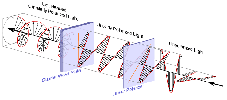 A circularly polarizing filter